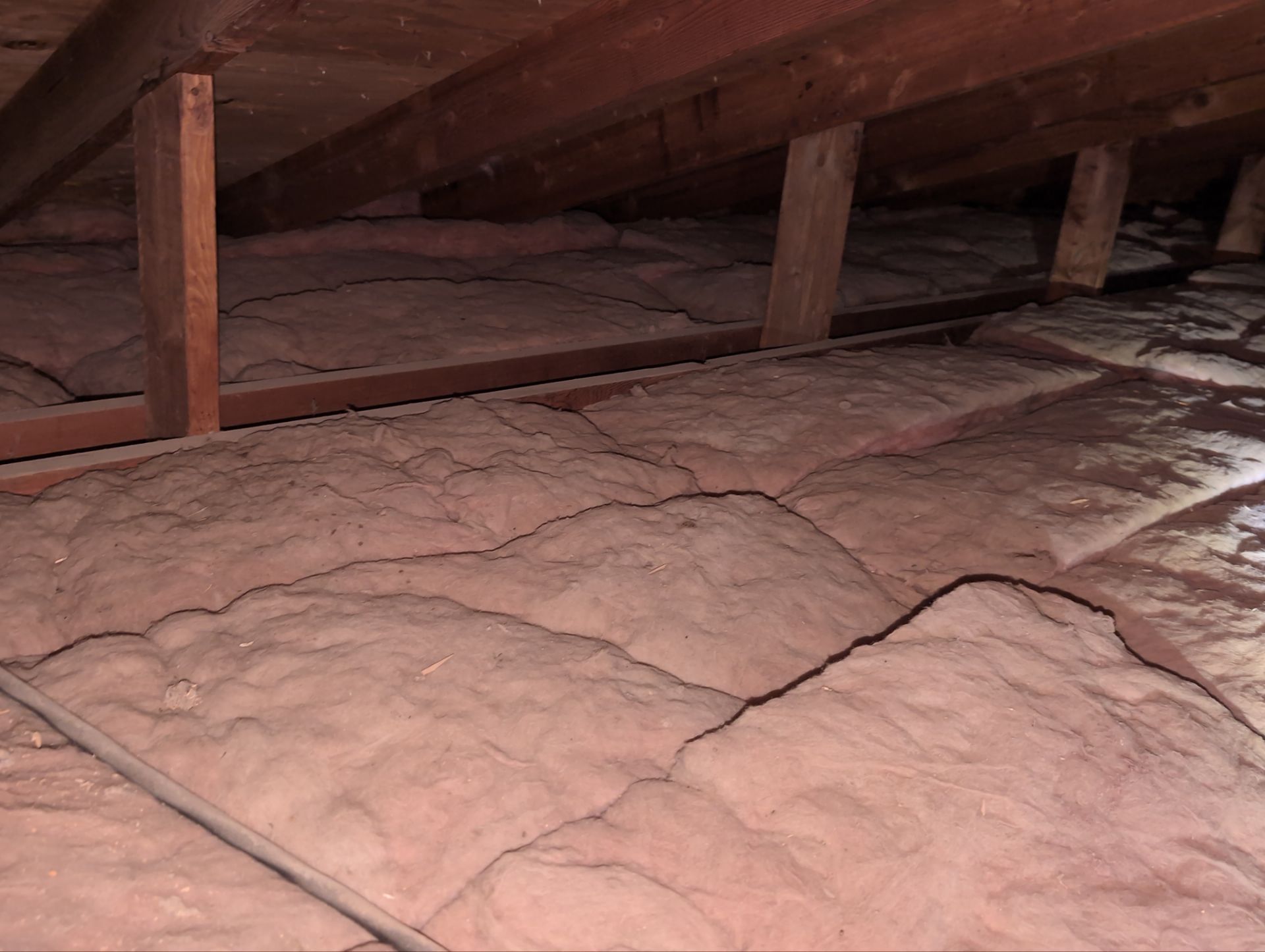 Basement Stairs & Storage for the Wells Family - Photo 4